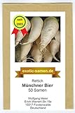 Rettich - Münchner Bier (50 Samen) Foto, Bestseller 2024-2023 neu, bester Preis 1,80 € Rezension