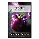 Sow Right Seeds - Purple Beauty Pepper Seed for Planting - Non-GMO Heirloom Packet with Instructions to Plant and Grow an Outdoor Home Vegetable Garden - Productive Sweet Bell Peppers - Great Gift Photo, bestseller 2024-2023 new, best price $5.49 review