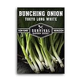 Survival Garden Seeds - Tokyo Long White Onion Seed for Planting - Pack with Instructions to Plant and Grow Asian Green Onions in Your Home Vegetable Garden - Non-GMO Heirloom Variety Photo, bestseller 2024-2023 new, best price $4.99 review