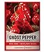 Photo Ghost Pepper Seeds for Planting Spicy Hot - Heirloom Non-GMO Hot Pepper Seeds for Home Garden Vegetables Makes a Great Plant Gift for Gardening by Gardeners Basics new bestseller 2023-2022