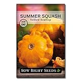 Sow Right Seeds - Yellow Scallop Summer Squash Seed for Planting  - Non-GMO Heirloom Packet with Instructions to Plant a Home Vegetable Garden Photo, bestseller 2024-2023 new, best price $4.99 review