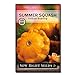 Photo Sow Right Seeds - Yellow Scallop Summer Squash Seed for Planting  - Non-GMO Heirloom Packet with Instructions to Plant a Home Vegetable Garden new bestseller 2024-2023