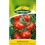 Tomate, Harzfeuer F1 Foto, Bestseller 2024-2023 neu, bester Preis 2,77 € (0,14 € / stück) Rezension