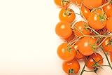 Sunsugar Hybrid - Tomato Seeds Photo, bestseller 2024-2023 new, best price $6.99 review
