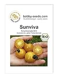 BIO-Tomatensamen Sunviva Cherrytomate BIO Foto, Bestseller 2024-2023 neu, bester Preis 2,95 € Rezension