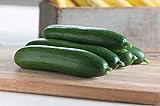 David's Garden Seeds Cucumber Slicing Diva 2196 (Green) 50 Non-GMO, Open Pollinated Seeds Photo, bestseller 2024-2023 new, best price $4.45 review
