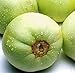 Photo Sweet Melon Seeds (CHK) (Japanese New Mini Honeydew, 30 Seeds) new bestseller 2024-2023
