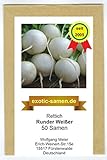 Rettich - Runder Weißer (50 Samen) Foto, Bestseller 2024-2023 neu, bester Preis 1,80 € Rezension