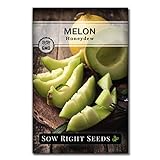 Sow Right Seeds - Green Honeydew Melon Seed for Planting - Non-GMO Heirloom Packet with Instructions to Plant a Home Vegetable Garden Photo, bestseller 2024-2023 new, best price $4.99 review