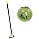 Bird Twig Stirrup Hoe Garden Tool - Scuffle Loop Hoe for Effective Preventing Weeds, 54 Inch Stainless Steel Adjustable Long Handle Weeding Hoe for Average & Tall Gardeners - Black Photo, bestseller 2024-2023 new, best price $26.99 review
