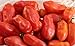 Photo 40+ San Marzano Tomato Seeds- Italian Heirloom Variety- Ohio Heirloom Seeds new bestseller 2024-2023