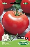 Germisem graines Tomate PYROS F1 Photo, best-seller 2024-2023 nouveau, meilleur prix 5,83 € examen