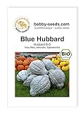 Blue Hubbard BIO Kürbissamen von Bobby-Seeds Portion Foto, Bestseller 2024-2023 neu, bester Preis 2,75 € Rezension