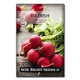 Sow Right Seeds - Champion Radish Seed for Planting - Non-GMO Heirloom Packet with Instructions to Plant a Home Vegetable Garden - Great Gardening Gift (1)… Photo, bestseller 2024-2023 new, best price $4.99 review