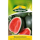 Wassermelone, Sugar Baby Foto, Bestseller 2024-2023 neu, bester Preis 2,70 € (0,14 € / stück) Rezension