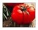 Photo 250 Beefsteak Tomato Seeds | Non-GMO | Fresh Garden Seeds new bestseller 2023-2022