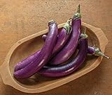 David's Garden Seeds Eggplant Asian Delite (Purple) 25 Non-GMO, Hybrid Seeds Photo, bestseller 2024-2023 new, best price $3.45 review