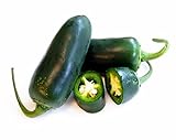Hot Chili Pfeffer Jalapeno Ruben - Pepper - sehr ertragreich - 10 Samen Foto, Bestseller 2024-2023 neu, bester Preis 1,60 € Rezension