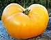 Foto 50 semillas de tomate huerto, granja plantación semillas de hortalizas carne de naranja llena de naranja semillas raras esenciales nuevo éxito de ventas 2024-2023