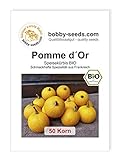 Pomme d´Or BIO Kürbissamen von Bobby-Seeds 50 Korn Foto, Bestseller 2024-2023 neu, bester Preis 2,45 € Rezension