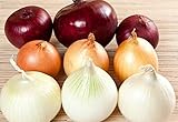 NIKA SEEDS - Vegetable Onion Rainbow Mix Neutral - 500 Seeds Photo, bestseller 2024-2023 new, best price $8.95 review