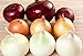 Photo NIKA SEEDS - Vegetable Onion Rainbow Mix Neutral - 500 Seeds new bestseller 2023-2022