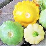TomorrowSeeds - 3 Colors Mix Patty Pan Squash Seeds - 20+ Count Packet - Yellow, Green Tint, White Bush Scallop Summer Patisson Scallopini Photo, bestseller 2024-2023 new, best price $3.80 ($0.19 / Count) review