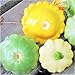 Photo TomorrowSeeds - 3 Colors Mix Patty Pan Squash Seeds - 20+ Count Packet - Yellow, Green Tint, White Bush Scallop Summer Patisson Scallopini new bestseller 2024-2023