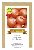 Zwiebel - Zittauer Gelbe (300 Samen) Foto, Bestseller 2024-2023 neu, bester Preis 1,95 € Rezension