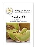 Melonensamen Exelor F1 Galiamelone Portion Foto, Bestseller 2024-2023 neu, bester Preis 2,35 € Rezension