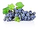 Photo Homegrown Non GMO Grape Seeds, Bulk Seeds, Concord (20) new bestseller 2023-2022