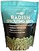Photo Radish Sprouting Seeds | Non GMO | Grown in USA | (1 Pound) new bestseller 2024-2023