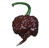 Chocolate Carolina Reaper HP22B Pepper Premium Seed Packet Record Hottest in The World + More Photo, bestseller 2024-2023 new, best price $6.99 review