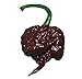 Photo Chocolate Carolina Reaper HP22B Pepper Premium Seed Packet Record Hottest in The World + More new bestseller 2024-2023
