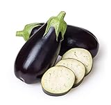 Eggplant Seeds for Planting Home Garden - Container Vegetable Garden - Black Beauty Eggplant Photo, bestseller 2024-2023 new, best price $5.98 review
