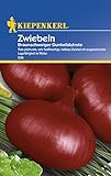 Kiepenkerl Zwiebeln Braunschweiger Foto, Bestseller 2024-2023 neu, bester Preis 2,29 € Rezension