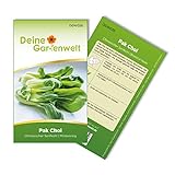 Pak Choi Chinesischer Senfkohl Samen - Brassica rapa - Kohlsamen - Gemüsesamen - Saatgut für 60 Pflanzen Foto, Bestseller 2024-2023 neu, bester Preis 1,99 € (0,03 € / stück) Rezension