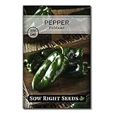 Sow Right Seeds - Poblano Pepper Seeds for Planting - Make Ancho Chiles at Home - Non-GMO Heirloom Packet with Instructions to Plant a Home Vegetable Garden… Photo, bestseller 2024-2023 new, best price $4.99 review
