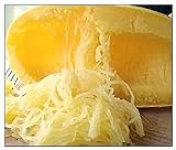 Instant Latch 20 Spaghetti Squash Seeds | Non-GMO | Fresh Garden Seeds Photo, bestseller 2024-2023 new, best price $6.95 review