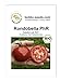 Foto BIO-Tomatensamen Rondobella PhR Salattomate Portion neu Bestseller 2024-2023