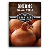 Survival Garden Seeds - Walla Walla Onion Seed for Planting - Packet with Instructions to Plant and Grow Deliciously Sweet Long Day Onions in Your Home Vegetable Garden - Non-GMO Heirloom Variety Photo, bestseller 2024-2023 new, best price $4.99 review