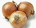 Photo Onion, Yellow Spanish Onion Seeds, (25+ Seeds) Heirloom, Non- GMO, One of The Most Popular for Gardeners, This Jumbo-Sized Onion is mild with Golden Brown Skin. new bestseller 2023-2022