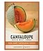 Photo Cantaloupe Seeds for Planting - Hales Best Jumbo Heirloom, Non-GMO Vegetable Variety- 1 Gram Approx 45 Seeds Great for Summer Melon Gardens by Gardeners Basics new bestseller 2024-2023