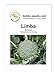 Foto Kohlsamen Limba Broccoli Portion neu Bestseller 2023-2022