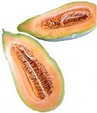 Banana Melon Cucumber Seeds, Exotic and Rare, 120 Heirloom Seeds Per Packet, Non GMO Seeds, Isla's Garden Seeds Photo, bestseller 2024-2023 new, best price $6.29 ($0.05 / Count) review