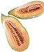 Photo Banana Melon Cucumber Seeds, Exotic and Rare, 120 Heirloom Seeds Per Packet, Non GMO Seeds, Isla's Garden Seeds new bestseller 2024-2023