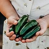 Nadapeno Jalapeno Pepper - 25 Seeds - Heirloom & Open-Pollinated Variety, Non-GMO Vegetable Seeds for Planting in The Home Garden, Thresh Seed Company Photo, bestseller 2024-2023 new, best price $7.99 review