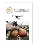 Zwiebelsamen Dagmar Portion Foto, Bestseller 2024-2023 neu, bester Preis 1,35 € Rezension