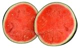 SWEETY Melone carmesí 10 Semillas Super-dulce- por Samenchilishop Foto, éxito de ventas 2024-2023 nuevo, mejor precio 2,49 € revisión
