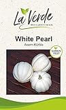 White Pearl Kürbissamen Foto, Bestseller 2024-2023 neu, bester Preis 3,25 € Rezension